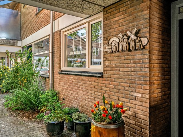 Ligusterbes 14, Leiden
