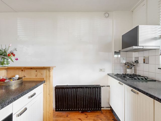 Ligusterbes 14, Leiden