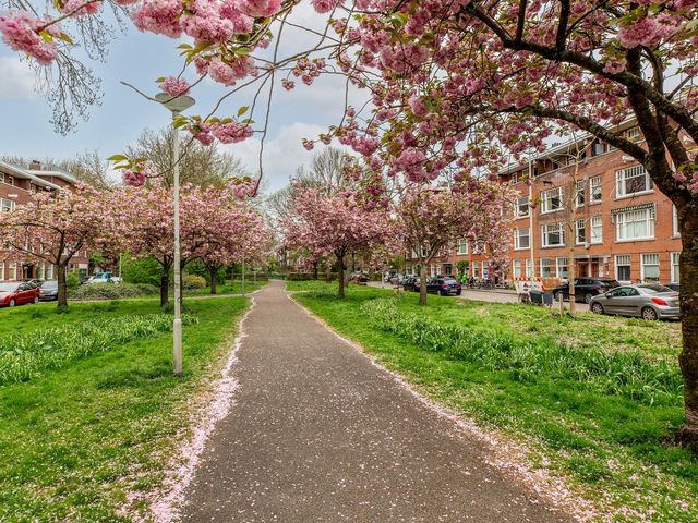 De Savornin Lohmanlaan 70B 01, Rotterdam
