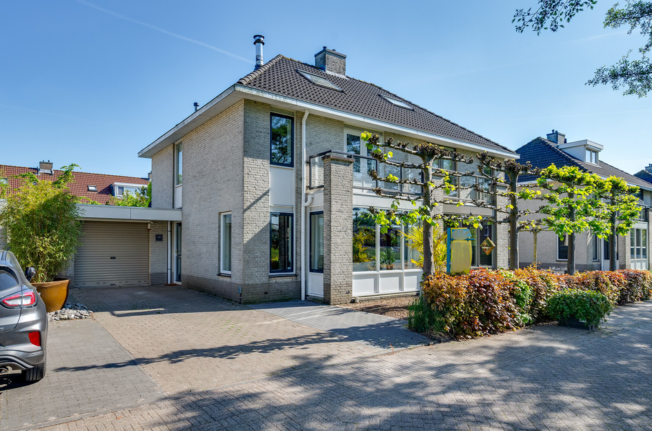 Biezengors 64