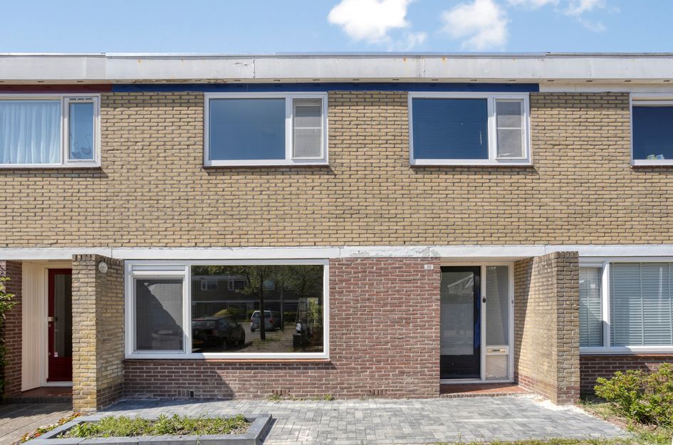 De Bird 111