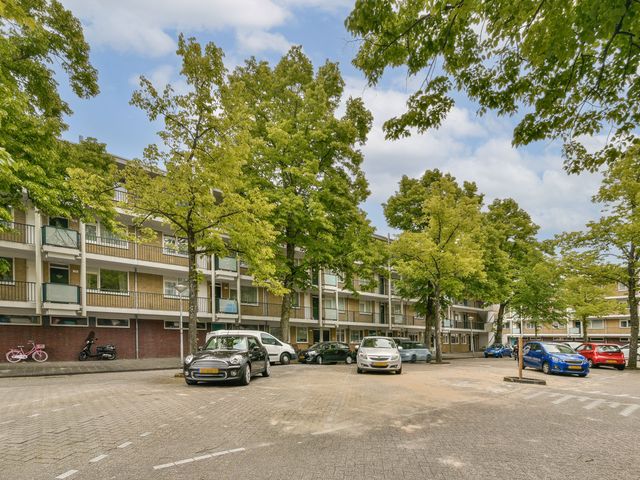 Dikninge 133, Amsterdam