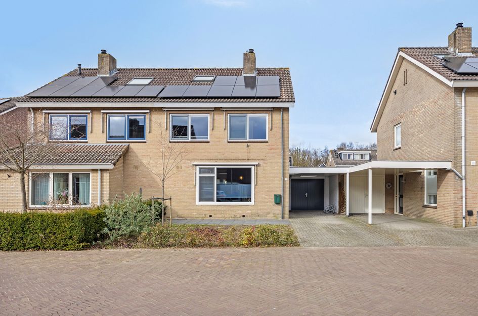 Kievitsbloem 10