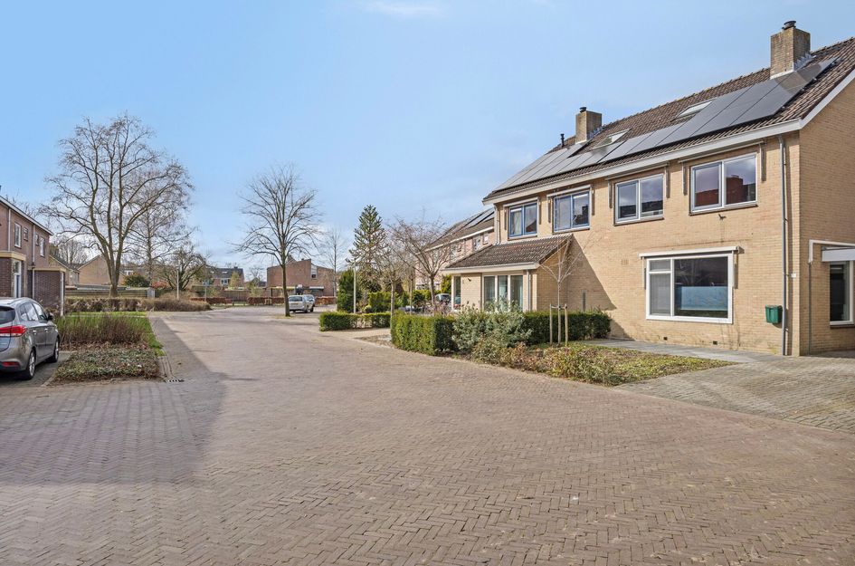 Kievitsbloem 10