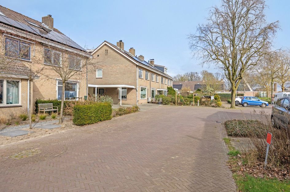 Kievitsbloem 10