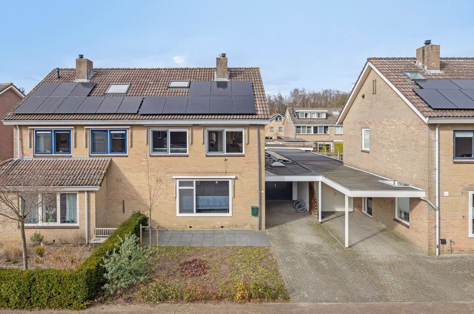 Kievitsbloem 10