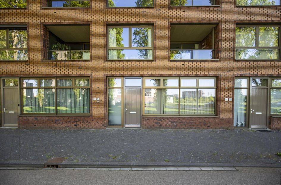 Glenn Millerpad 37