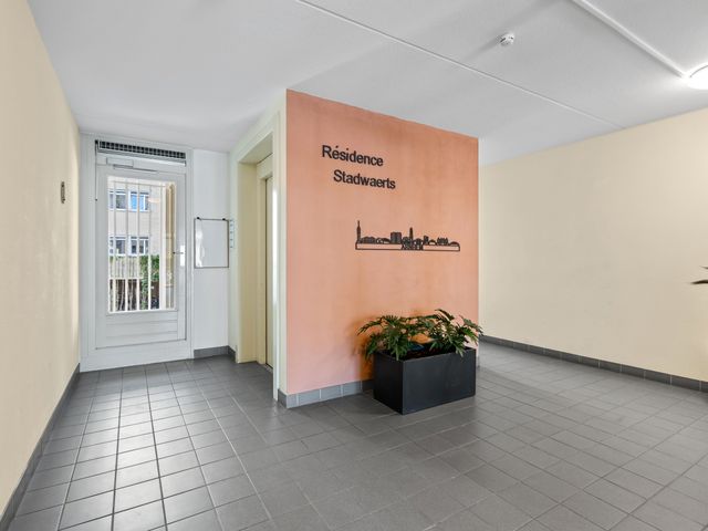 Betuwestraat 6 4, Arnhem