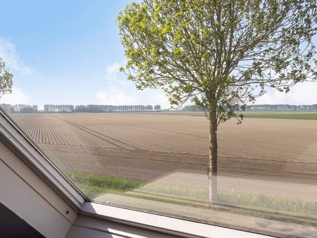 Achtereindstraat 38, Graauw