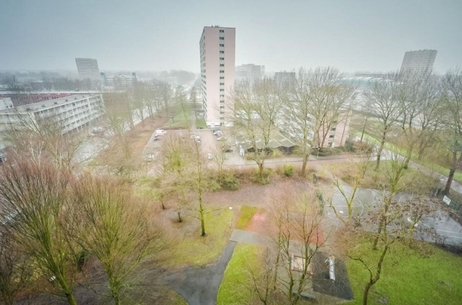 H. Cleyndertweg 