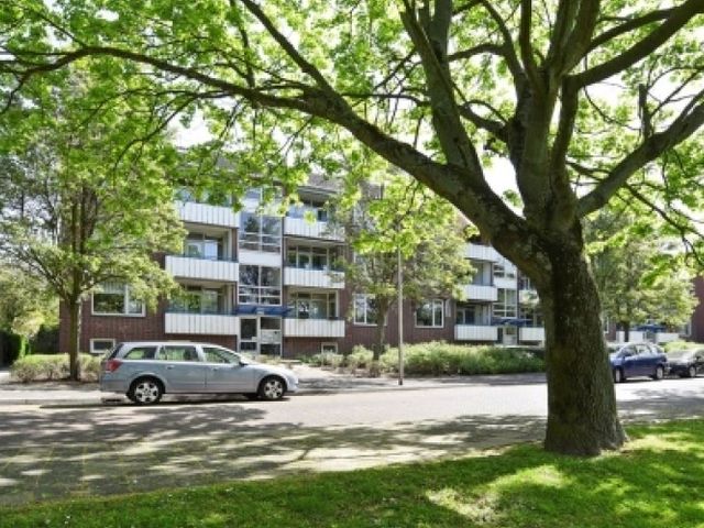W.H. van Leeuwenlaan , Delft