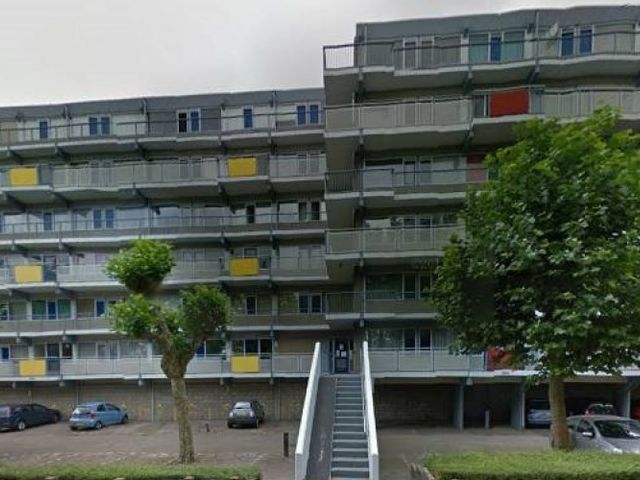 Forellendaal , Den Haag