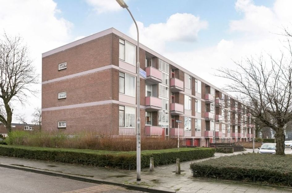 Domela Nieuwenhuisstraat 