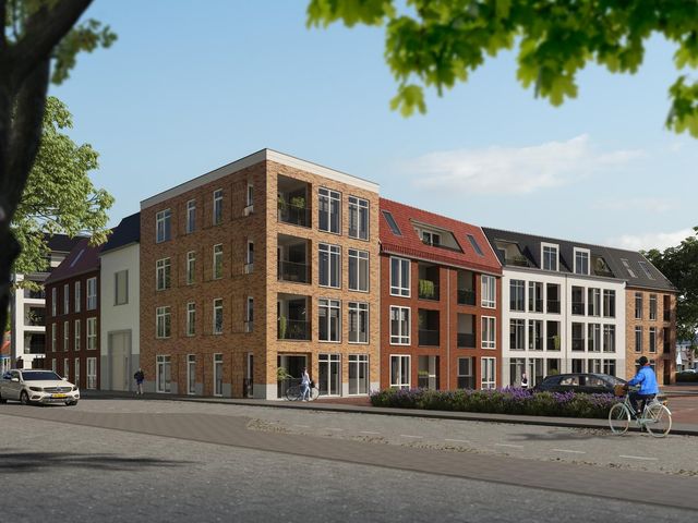 Type 12 , Hulst