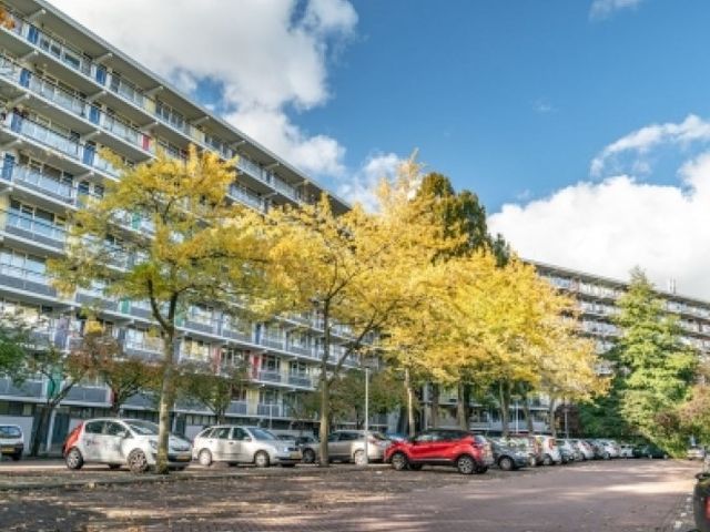 Zijldonk , Leiden