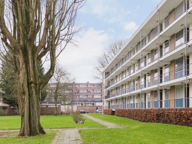 Ogierssingel , Rotterdam