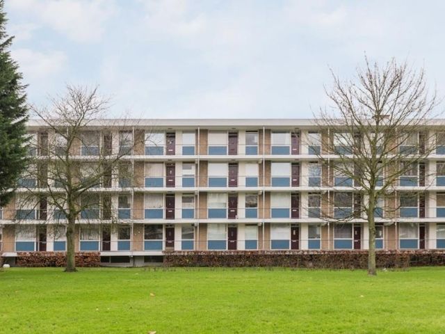 Ogierssingel , Rotterdam
