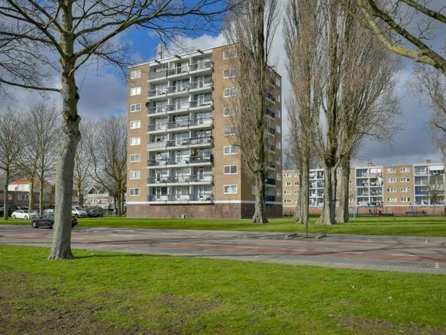 Zuidervaart , Zaandam