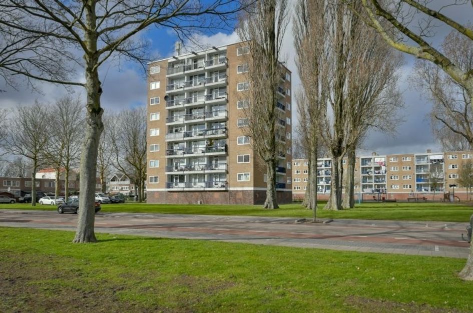 Zuidervaart 