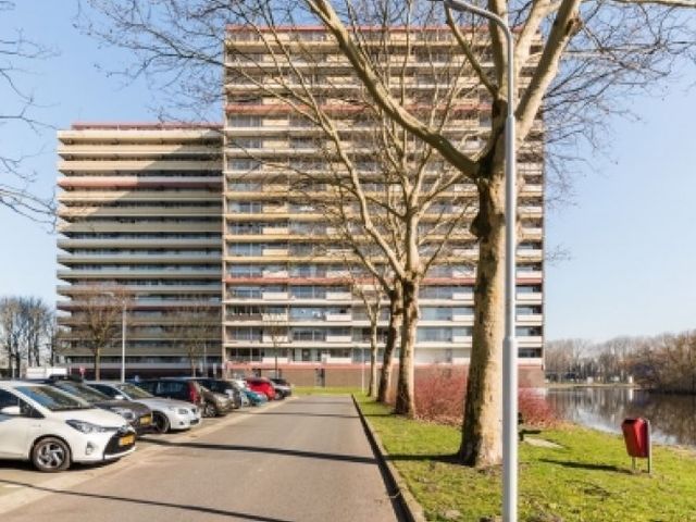 Oost Dorsch , Zaandam