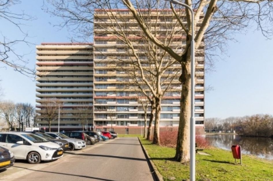 Oost Dorsch 