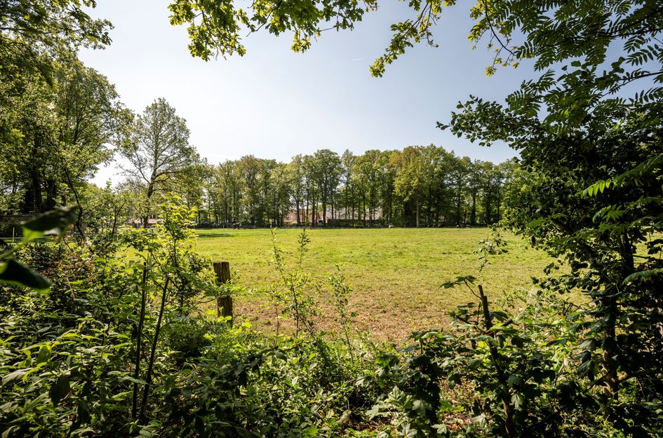 Wittebergweg 18C10