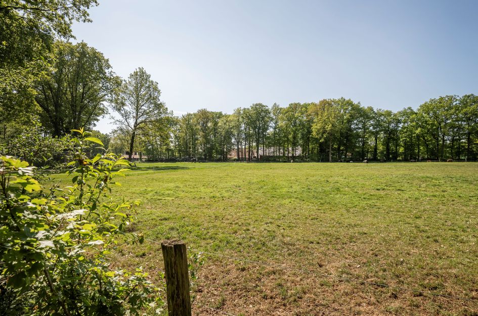 Wittebergweg 18C10