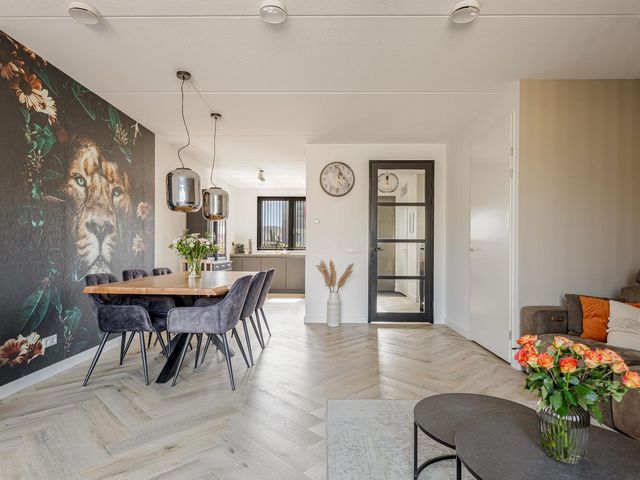 Koriander 74, Lelystad