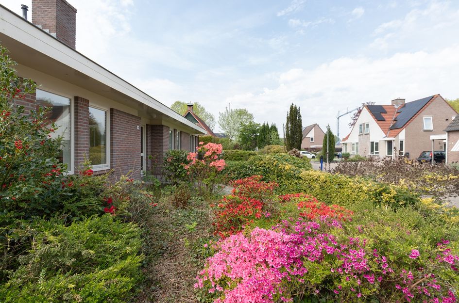 Voeghouten 4