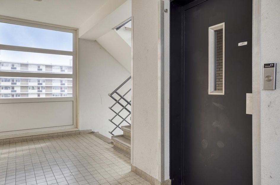 Antwerpenstraat 508