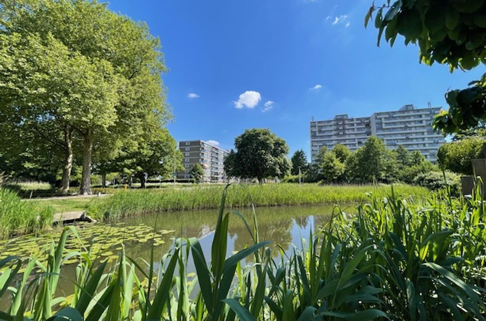 Beltmolen 27