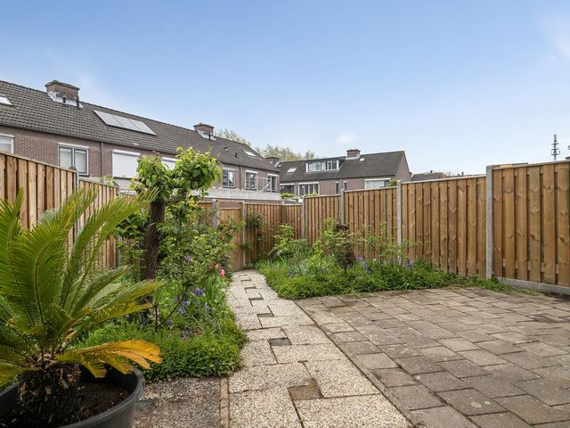 Steenkamplaan 43, Terneuzen
