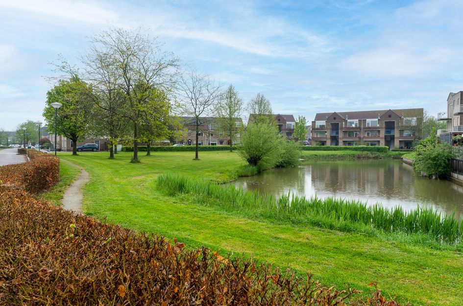 Vlinderslag 28