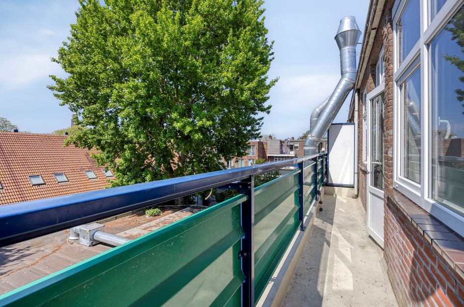Herman Costerstraat 343