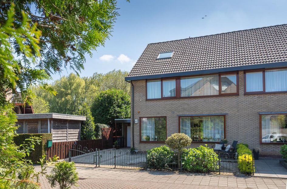 Roerdomp 1