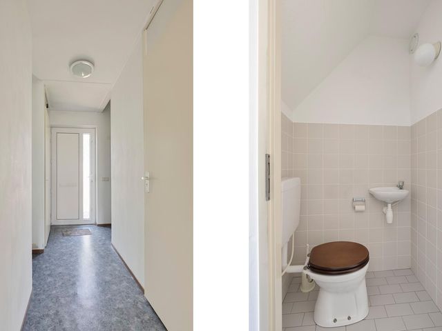 Zirkoon 22, Duiven