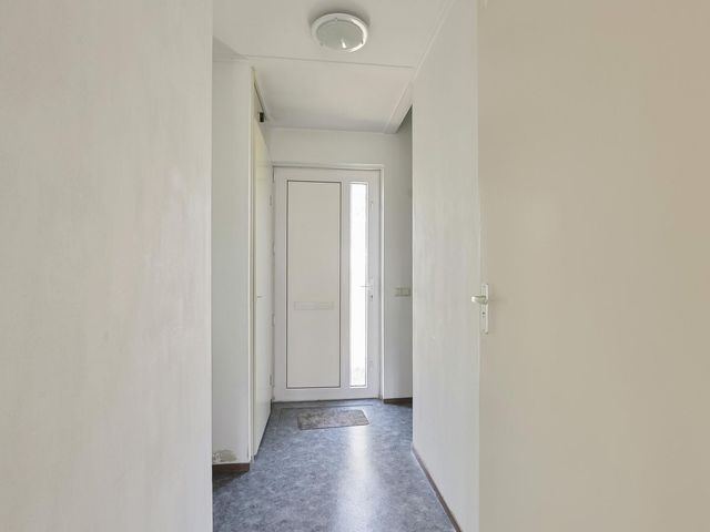 Zirkoon 22, Duiven