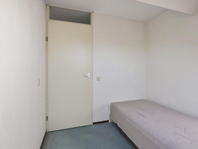 Zirkoon 22, Duiven