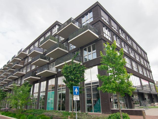 Lapis Lazuli 8, Heerhugowaard