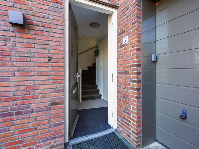 Juttepeer 31, Den Hoorn