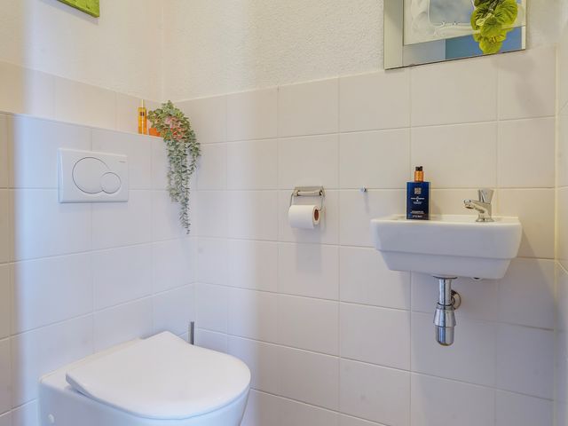 Juttepeer 31, Den Hoorn