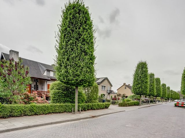 Oud Kerkpad 3, Schijf