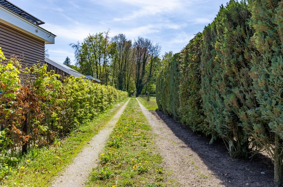 Wieselseweg 29