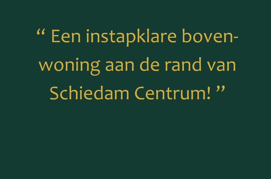 Boerhaavelaan 60A1