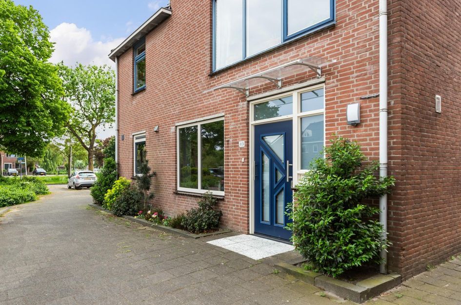Goudplevier 69