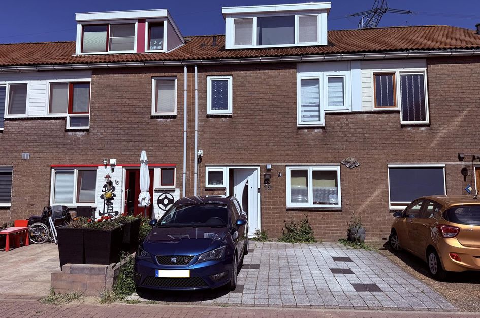 Houtsnede 19
