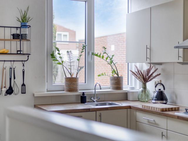 Dubbelmonde 47, Zevenbergen