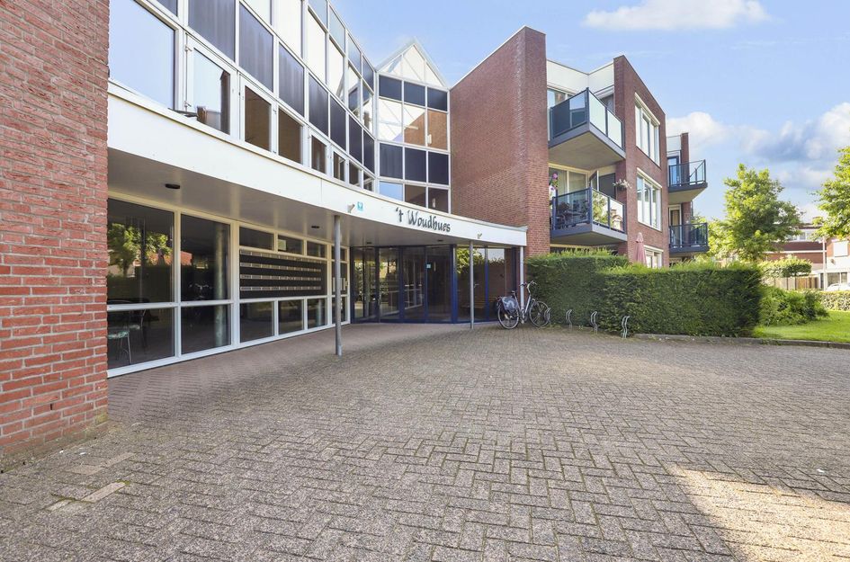 Goudreinet 63