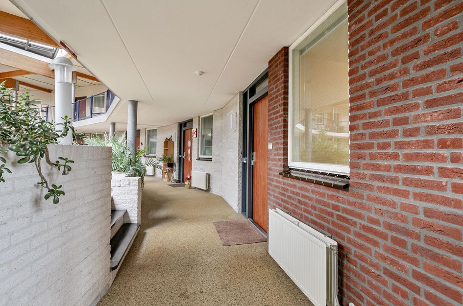 Goudreinet 63