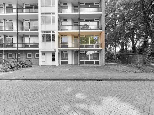 De Reiger 175, Hoogeveen